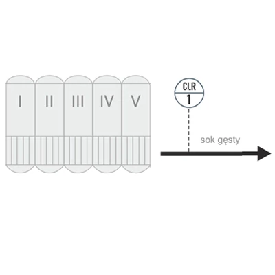  Schemat pomiaru barwy soku gęstego