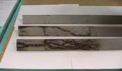 Uszkodzony izolator / Drzewienie