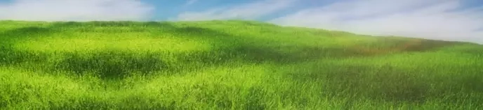 Jak zmierzyć ilość i skład biogazu ?