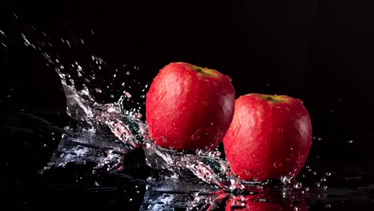 Czujnik wilgotności do magazynów owoców Czujnik wilgotności do magazynów owoców