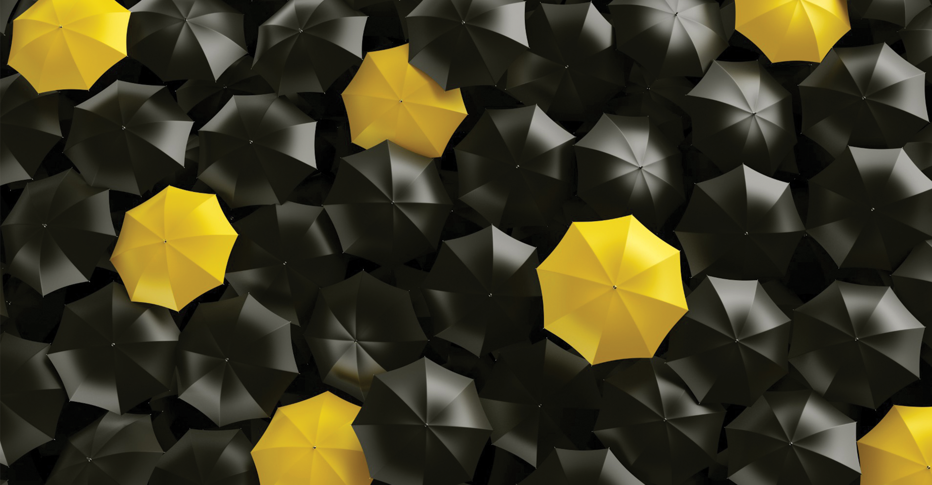 W Introlu liczą się ludzie 1920x1000.png