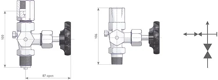 AS-0201-gauge-valves-with-test-connection-instrument-connection-adjusting-nut-valve-with-test-connection-M20x1-5-12NPT-female-1-EN.webp