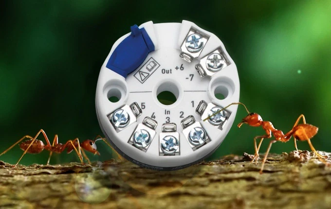 MinIPAQ-C230 mrówka robocza