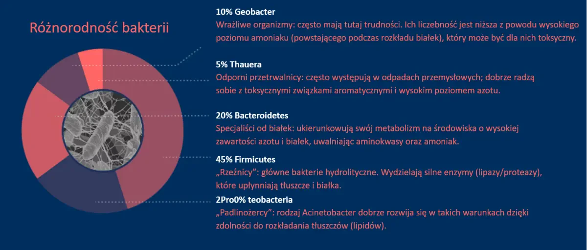 Rodzaje bakterii w ściekach Rodzaje bakterii w ściekach