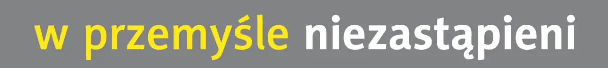 Introl przemyslenie zastąpieni Introl przemyslenie zastąpieni